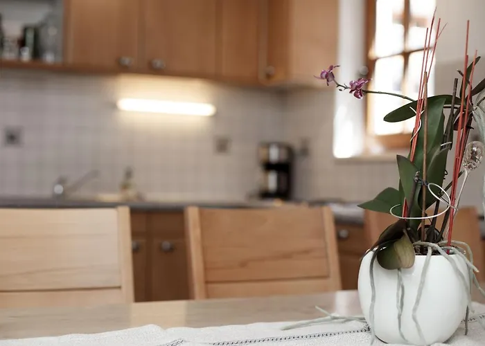 公寓 Manuela 索尔登