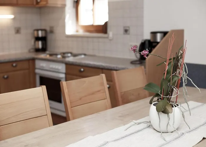 公寓 Manuela 索尔登